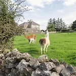 Apartamento The Lazy Llama Shepherd Hut Campview Farm Ballyshannon