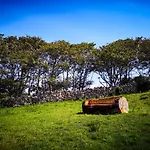 The Lazy Llama Shepherd Hut Campview Farm *