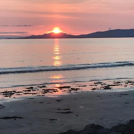 The Lazy Llama Shepherd Hut Campview Farm *