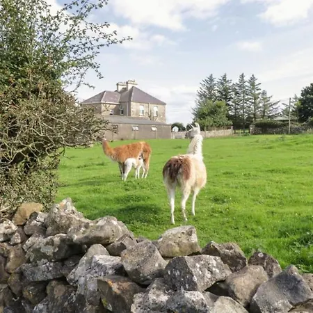 公寓 The Lazy Llama Shepherd Hut & Sauna Farm 巴利香农