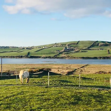 The Beautiful Lazy Llama Shepherd Hut Farm Дом отдыха *