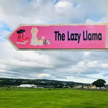The Beautiful Lazy Llama Shepherd Hut Farm Holiday home *