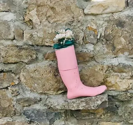 The Lazy Llama Shepherd Hut Campview Farm *