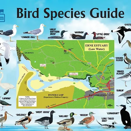 Apartament The Lazy Llama Shepherd Hut Campview Farm