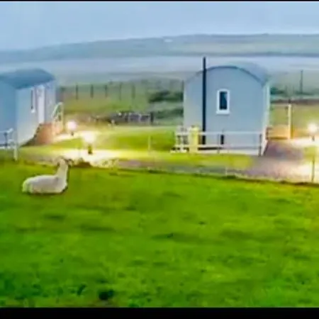 The Lazy Llama Shepherd Hut Campview Farm *