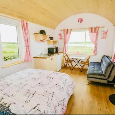 The Lazy Llama Shepherd Hut & Sauna