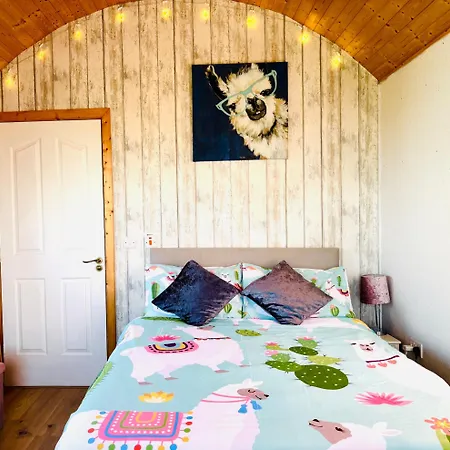 The Lazy Llama Shepherd Hut & Sauna * Ballyshannon