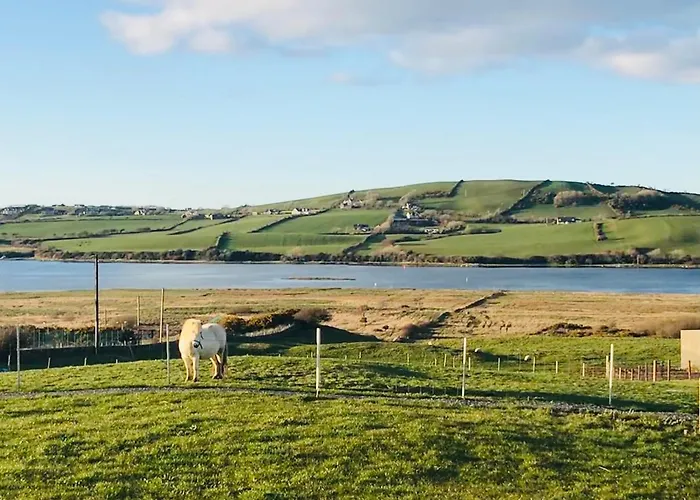 The Lazy Llama Shepherd Hut Campview Farm Appartement *