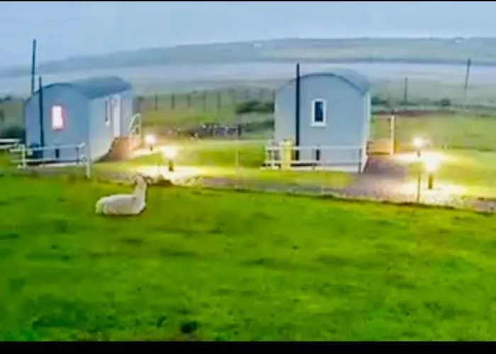 The Lazy Llama Shepherd Hut Campview Farm *